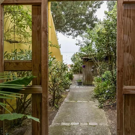 فيلة Des Mimosas Lège-Cap-Ferret