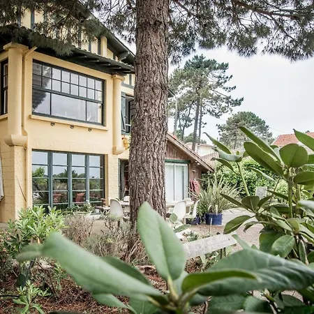 فيلة Des Mimosas Lège-Cap-Ferret