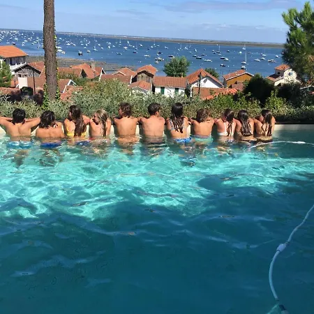 Des Mimosas فيلة *